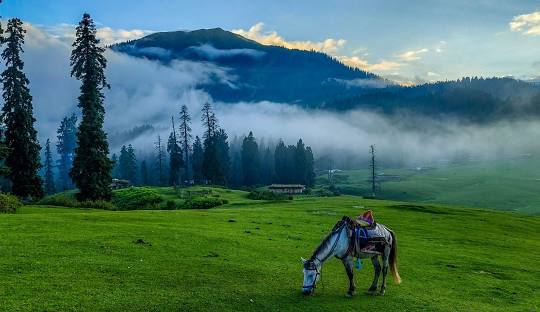 featured_image