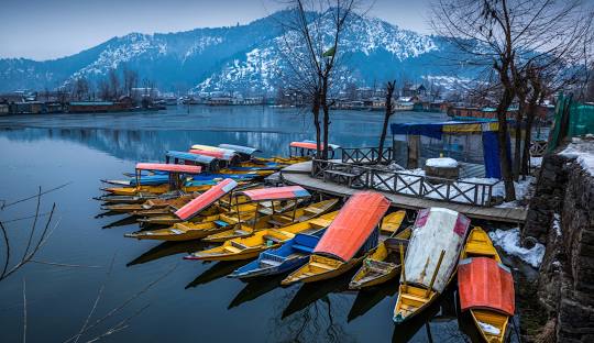 featured_image
