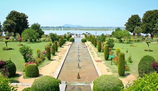 featured_image