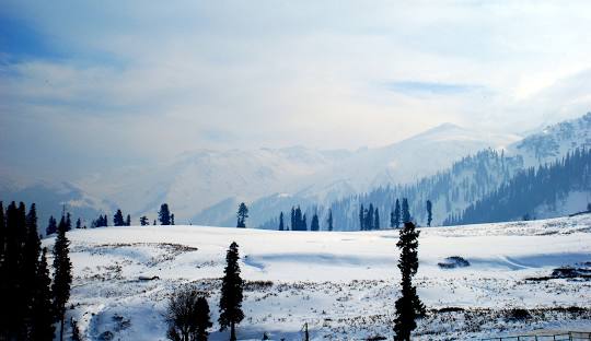 featured_image